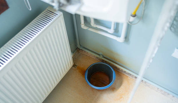 Best Sewage cleanup and water damage restoration  in Orchard City, CO