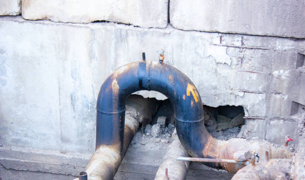 Best Local water damage restoration  in Orchard City, CO